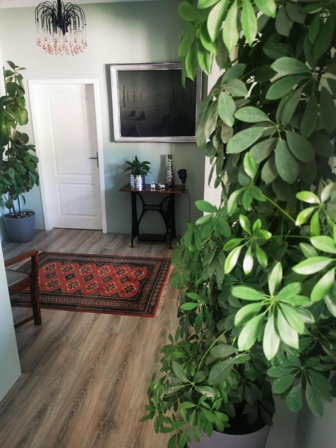 Sombor 19 Central Apartment Zewnętrze zdjęcie