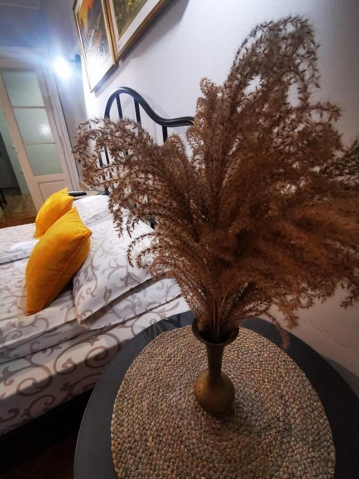 Sombor 19 Central Apartment Pokój zdjęcie